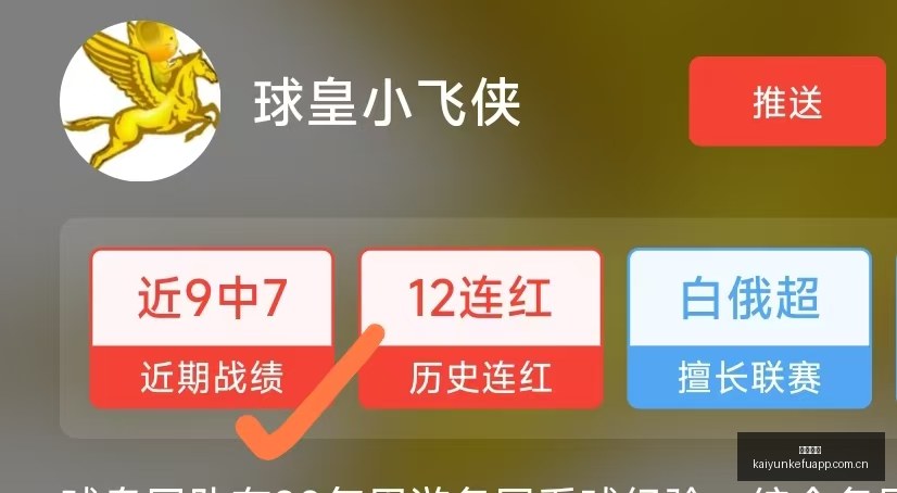 欧联杯激战,连续,场胜利,开云客服,在线客服平台,用户咨询服务,客服帮助中心,平台服务支持