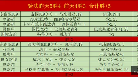 2026年战绩盘点用户咨询服务：18胜13负的隐藏风险