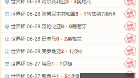免费攻略深度解析，平台服务支持，，专注品质提升，全力以赴指南