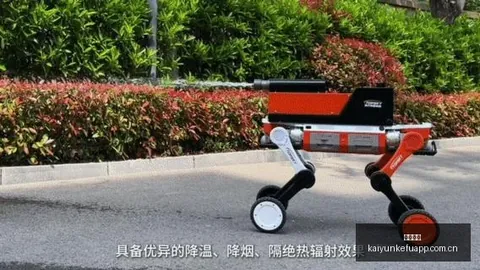 美利达独家攻略09_00发哥直播放福利